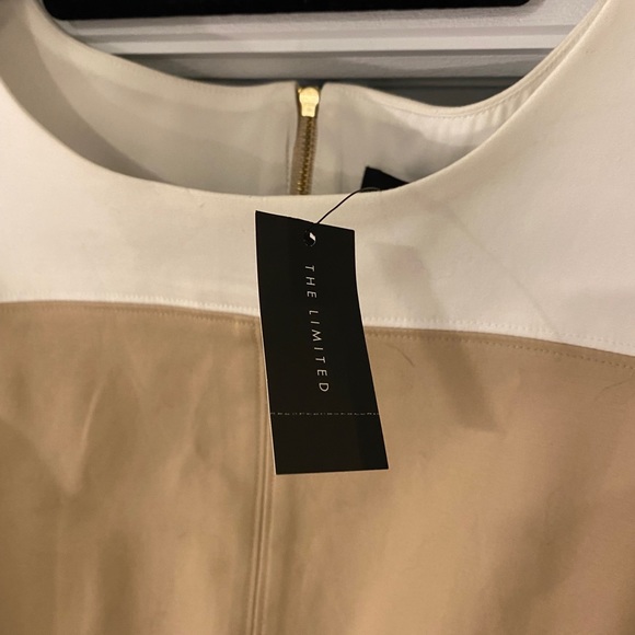 The limited business professional dress - Picture 4 of 5